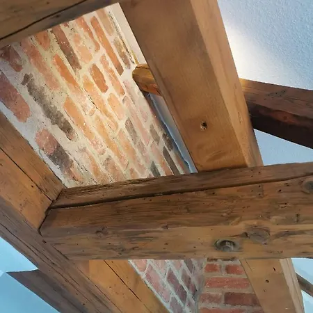 Im Harzer Vogelnest Finkennest